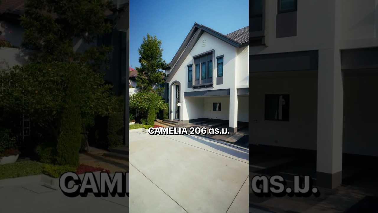 YouTube Shorts 8uFX-MDhpY0