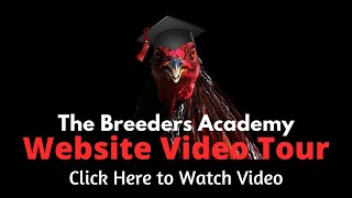 Breeders Academy Tour (July 2020)