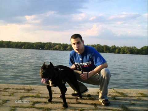 Ajzea - Zivot bez vokala + TEKST