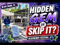 Mt Dora Blueberry Festival Hidden Gem Or Skip It We Went To Find Out