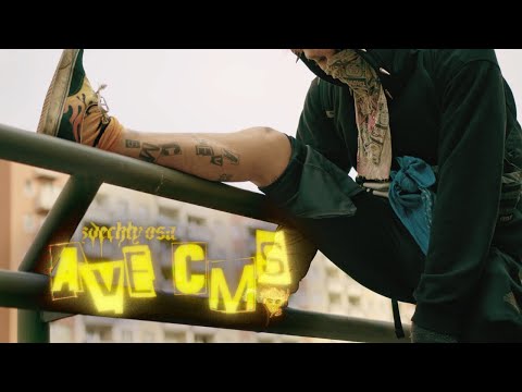 Video thumbnail for AVE CMS