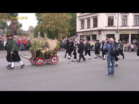 Das Altenburger Bauernreiten 2018