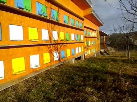 23 12 2014 Comanesti SUCEAVA