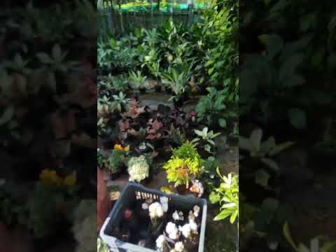 #aaj ek naya jaga ghumne ja rahi hu