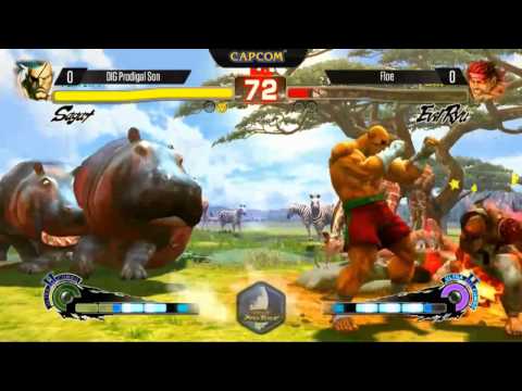 USF4 EVO 2014 Ryan Hart (SAGAT) vs Floe (E.RYU, YANG)