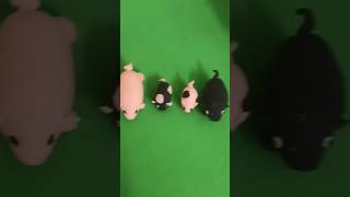 Download lagu Piggy 🐷 Family ❤️ Making #DIY #easy #pig #family #shorts #crafttamil #subscribe mp3 Download lagu Piggy 🐷 Family ❤️ Making #DIY #easy #pig #family #shorts #crafttamil #subscribe mp3