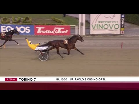 Expo Wise As (Ready Cash) & Alessandro Gocciadoro vinner Gran Premio Orsi Mangelli 2023 i Turin.