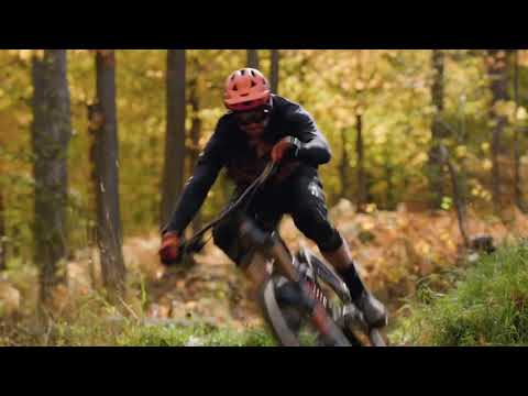 California dreamin, Return to Earth