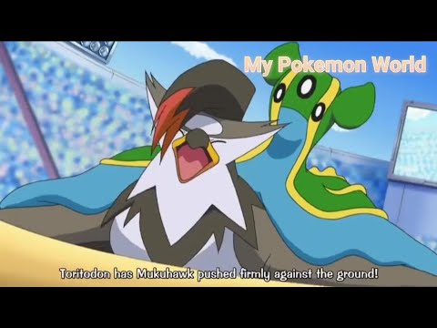 [Pokemon Battle] Gastrodon vs Staraptor