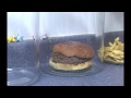 The Decomposition Of McDonald's Burgers And ...