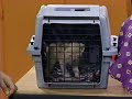 Stu U Upendous Puzzle Fun 1997 Version Part 13