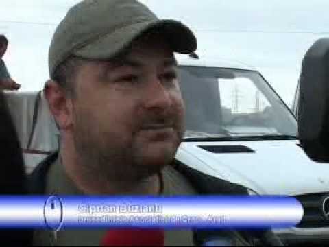 Mureşul a fost populat cu o tonă de peşte.flv