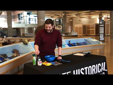 Goldie's Kids Club: Storytime (February 2021)