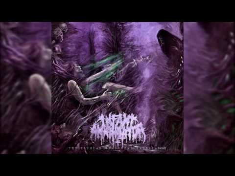 Infant Annihilator - Behold the Kingdom of the Wretched Undying (feat. Tyler Shelton, Bryan Long...