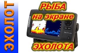 Как понять что показывает эхолота на экране