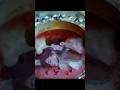 Nagin Season 1 Complete Episodes Watch Now Reels Reelsvideo Ytshorts Nagin Season1
