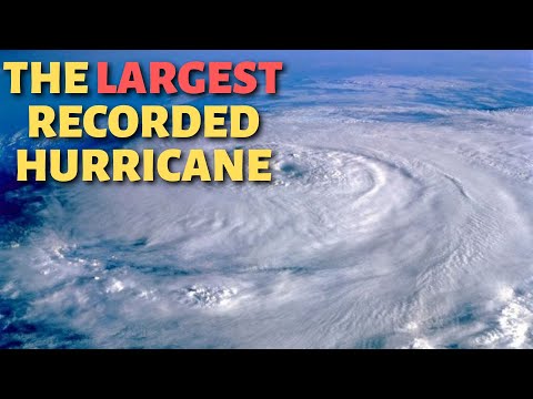 Typhoon Tip | History 101