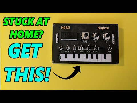 GREAT QUARANTINE SYNTH:  Korg NTS-1