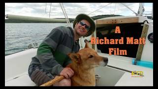 First YouTube video is online