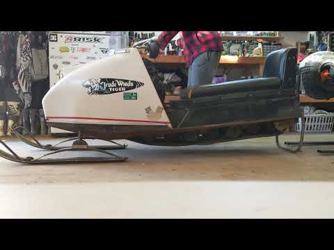 1966 Trade winds Tiger