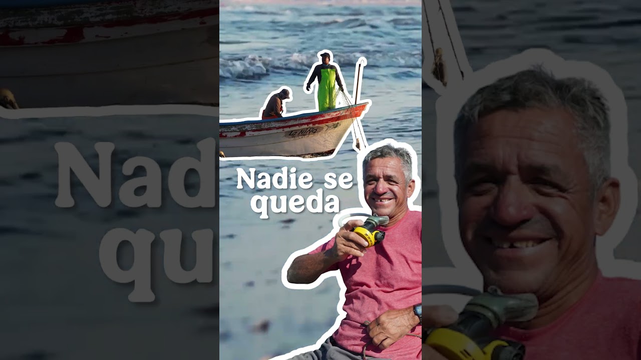 Apoyo de 15 mil pesos a las y los pescadores de Veracruz y Tabasco
