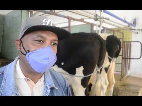 Sobrecumple Empresa Ganadera Mayabeque Plan de producción de leche al cierre del mes de enero