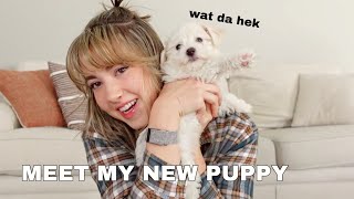 Meet my NEW PUPPY!