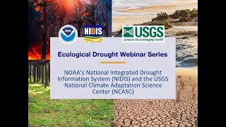 Ecological Drought: Impacts on Coastal Ecosystems