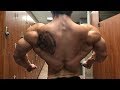 New Apartment Tour | Cobra Back Workout