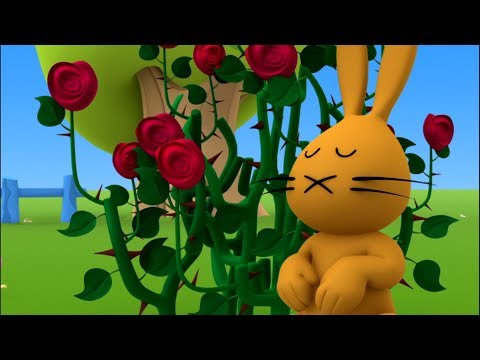🐱 Musti English | Thorns and Quills | Cartoon for Kids