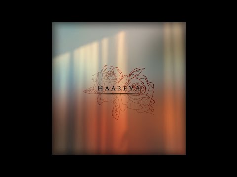 Mufasa Rex - Haareya