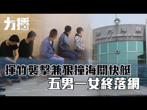 五男一女終落網