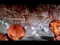 Antz Water Scene In Reverse