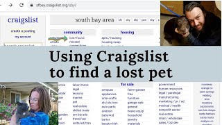Using Craigslist to find a lost pet