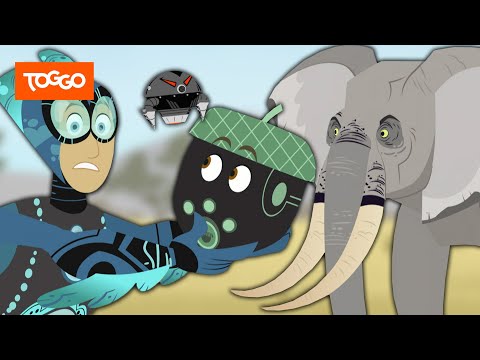 Go Wild! - Mission Wildnis | Tierisches Kräftemessen | Ganze Folge | TOGGO Serien
