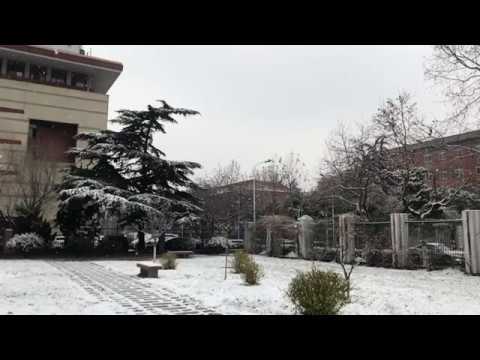 snow——IU - 爱してる