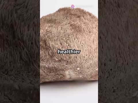 Unlock the Power of Lion’s Mane Mushroom!