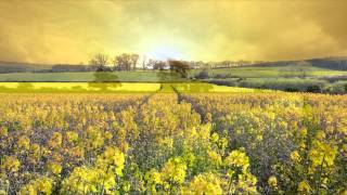 The Forester Sisters Sincerely 1988