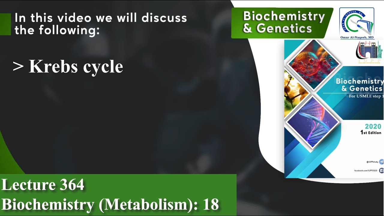 The citric acid cycle (Krebs cycle or tricarboxylic acid cycle)