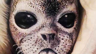 This Is A Human Woman -- BiDiPi #49