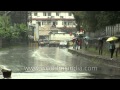 A very rainy day in Pine city Shillong - Meghalaya ...