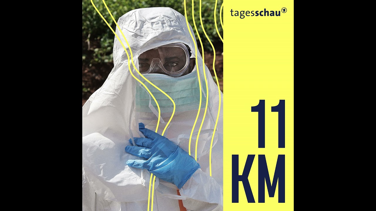 Kampf gegen Ebola: Wie gefährlich ist der Virus-Ausbruch?