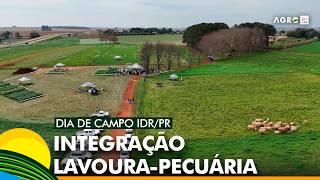 Miniatura do vídeo