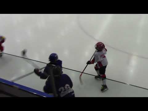 F1 Narva PSK 09 8  1 F1 Vipers White 2010