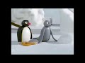 Pingu Pingu Wants To Fly