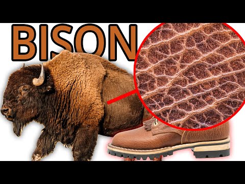 World's Toughest Bison Work Boots - How It's Made