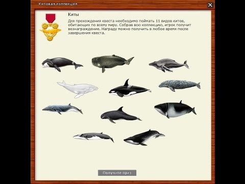 Русская Рыбалка 3.99 Квест Киты