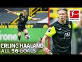 Erling Haaland - 36 Goals in Only 39 Matches