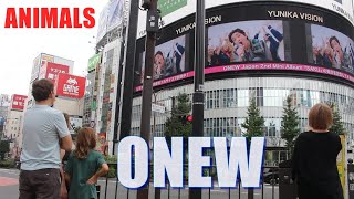 オニュ onew animal reaction シャイニー オニュ 武道館 onew saku onew reaction 온유 노래 shinee reaction オニュ ソロ 온유 노래