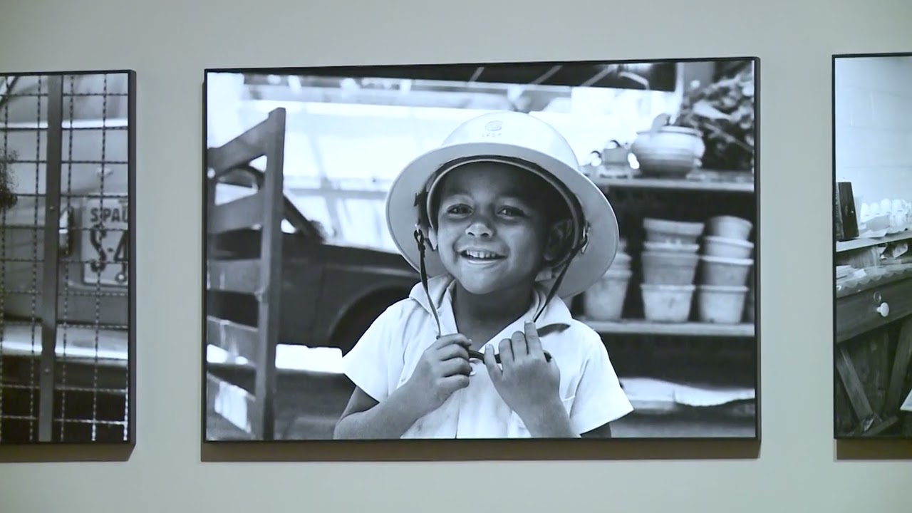 Articulando | Exposição - Desobediência pelo afeto